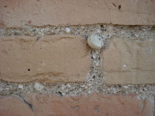 Fotografia de Justo Florian - Galeria Fotografica: Visiones - Foto: El escalador