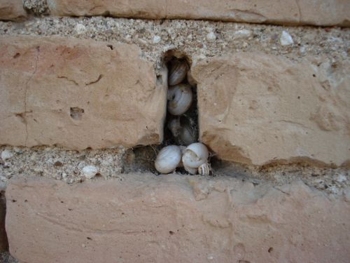 Fotografia de Justo Florian - Galeria Fotografica: Visiones - Foto: Refugio