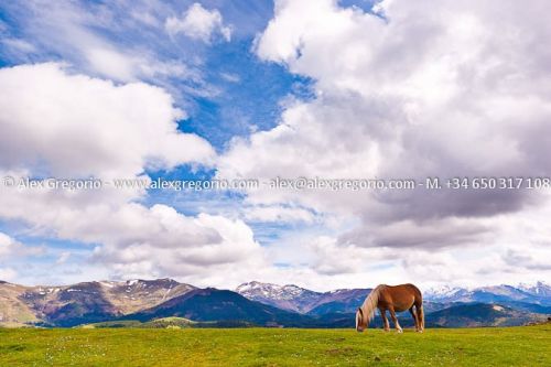 Fotografia de Alex Gregorio - Galeria Fotografica: Naturaleza - Foto: 