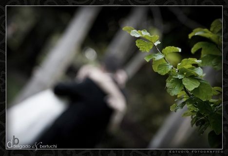 Fotografia de delgadobertuchi-fotografos - Galeria Fotografica: Enlaces - Foto: 
