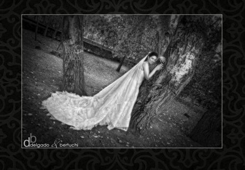 Fotografia de delgadobertuchi-fotografos - Galeria Fotografica: Enlaces - Foto: 