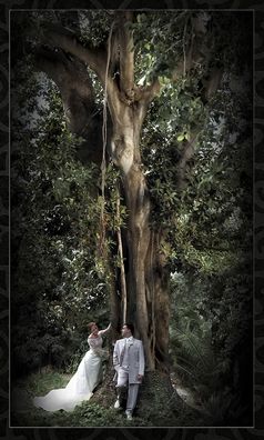 Fotografia de delgadobertuchi-fotografos - Galeria Fotografica: Enlaces - Foto: 