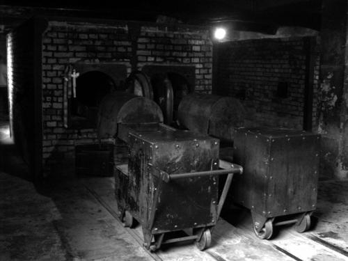 Fotografia de Raquel - Galeria Fotografica: Auschwitz - Foto: Crematorio, Auswitz II