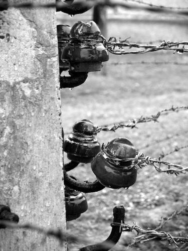 Fotografia de Raquel - Galeria Fotografica: Auschwitz - Foto: Bornes, Auswitz I