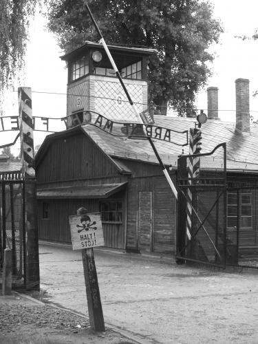 Fotografia de Raquel - Galeria Fotografica: Auschwitz - Foto: El trabajo os har libres...