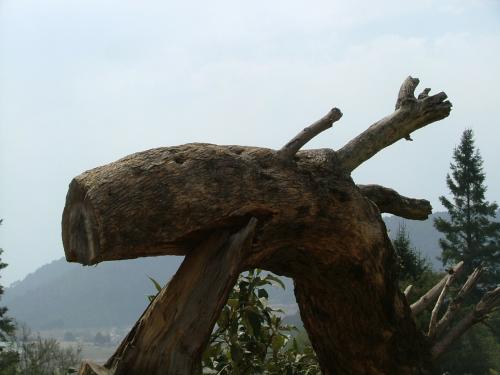 Fotografia de Sergio R. - Galeria Fotografica: De paseo - Foto: Alce