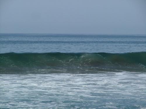 Fotografia de Sergio R. - Galeria Fotografica: De paseo - Foto: Hola verde Colima 1