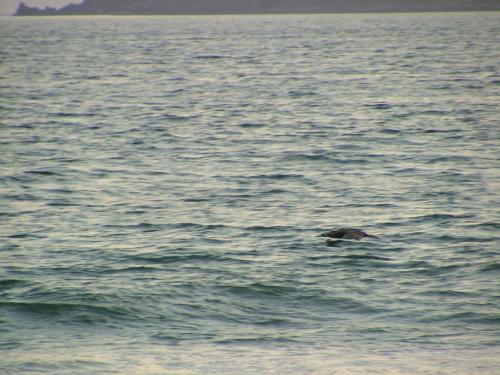 Fotografia de Sergio R. - Galeria Fotografica: Naturaleza - Foto: A milmetros