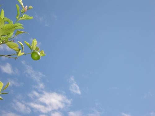 Fotografia de roxana boretto - Galeria Fotografica: Sin rumbo - Foto: 