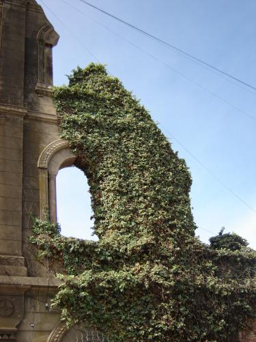 Fotografia de roxana boretto - Galeria Fotografica: Sin rumbo - Foto: 