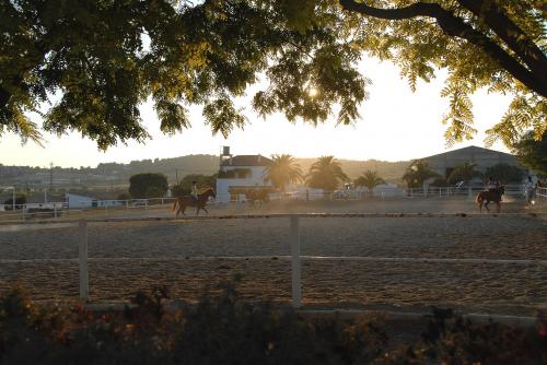 Fotografia de Josep Llargues - Galeria Fotografica: Varios temas - Foto: 