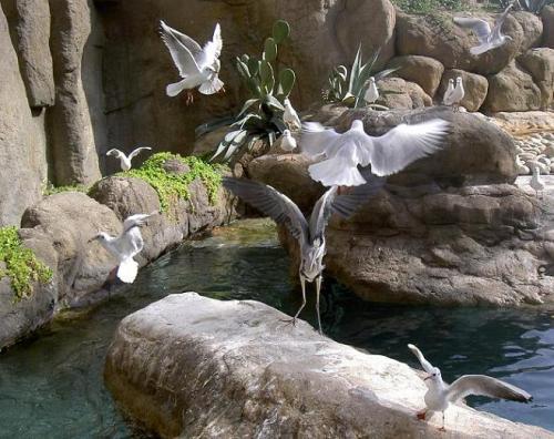 Fotografia de Josep Llargues - Galeria Fotografica: Varios temas - Foto: 