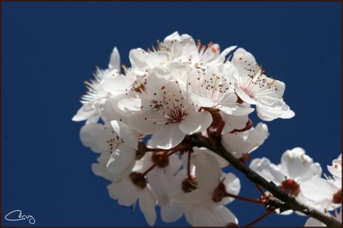 Fotografia de cervilla - Galeria Fotografica: Noria HDR - Foto: 