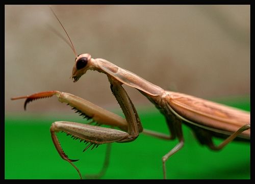 Fotografia de cervilla - Galeria Fotografica: Noria HDR - Foto: 