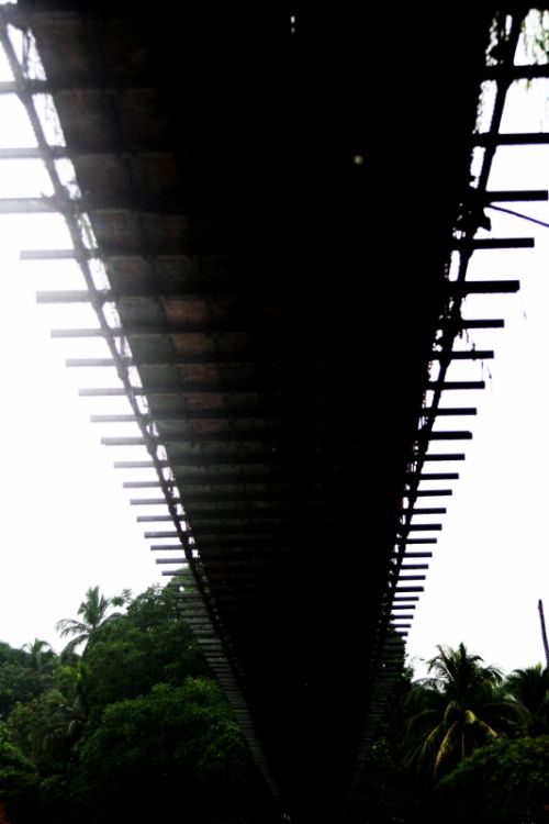 Fotografia de clausss - Galeria Fotografica: VERACRUZ - Foto: 