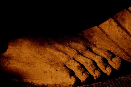 Fotografia de clausss - Galeria Fotografica: VERACRUZ - Foto: 