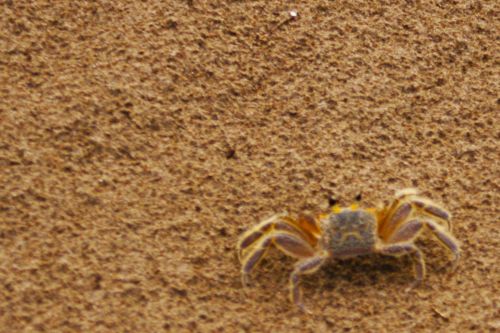 Fotografia de clausss - Galeria Fotografica: VERACRUZ - Foto: 