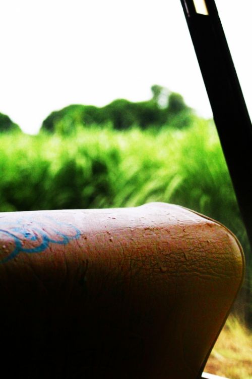 Fotografia de clausss - Galeria Fotografica: VERACRUZ - Foto: 