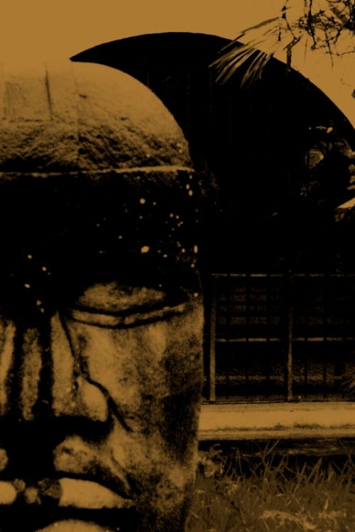 Fotografia de clausss - Galeria Fotografica: VERACRUZ - Foto: 