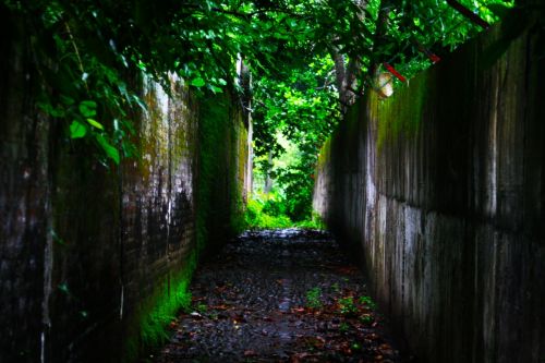 Fotografia de clausss - Galeria Fotografica: VERACRUZ - Foto: 