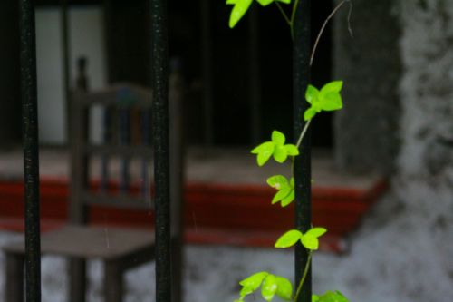 Fotografia de clausss - Galeria Fotografica: VERACRUZ - Foto: 