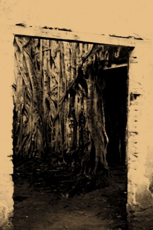 Fotografia de clausss - Galeria Fotografica: VERACRUZ - Foto: 