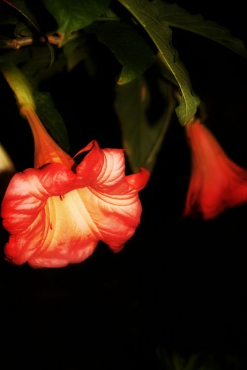 Fotografia de clausss - Galeria Fotografica: VERACRUZ - Foto: 