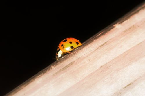 Fotografia de clausss - Galeria Fotografica: VERACRUZ - Foto: 