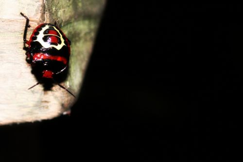 Fotografia de clausss - Galeria Fotografica: VERACRUZ - Foto: 