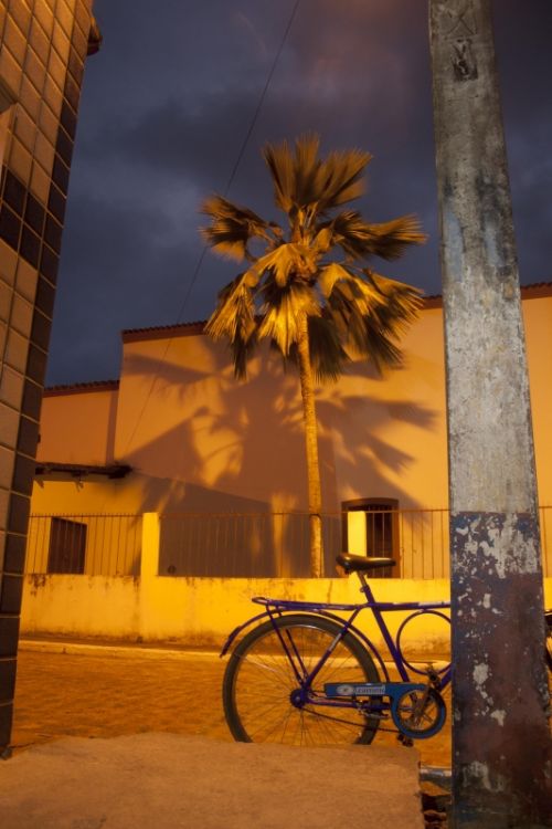 Fotografia de Alo - Galeria Fotografica: samba!! - Foto: 