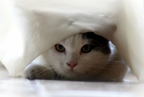 Fotografia de Lorena - Galeria Fotografica: nuevas - Foto: 