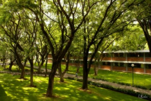 Fotografia de Lorena - Galeria Fotografica: nuevas - Foto: 