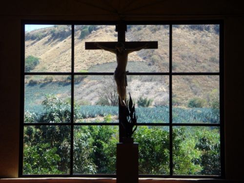 Fotografia de Lorena - Galeria Fotografica: nuevas - Foto: 