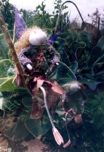 Fotografia de Sin Nombre - Galeria Fotografica: Todas las Hadas del Reino - Foto: 