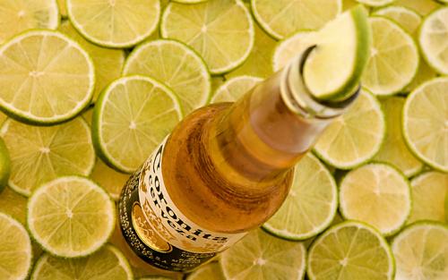 Fotografia de Francisco Garvi, Fotografo - Galeria Fotografica: Bodegon - Foto: Coronita