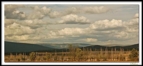 Fotografia de DELAGUI - Galeria Fotografica: DELAGUI - Foto: Esperando el otoo