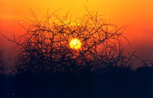 Fotografia de buda - Galeria Fotografica: viajes - Foto: 