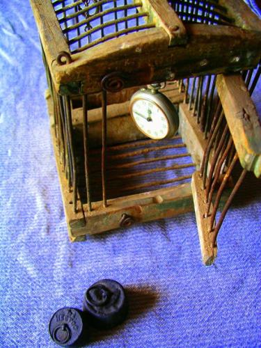 Fotografia de Pepe Carranza - Galeria Fotografica: Flores - Foto: peso del tiempo