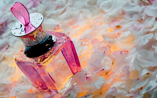 Fotografia de Francisco Garvi, Fotografo - Galeria Fotografica: Bodegon - Foto: Perfume