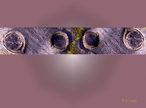 Fotografia de P. Costa - Galeria Fotografica: EVOLUCION DE LAS FORMAS - Foto: NATURALEZA IRREAL- 02