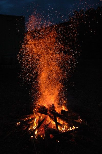 Fotografia de NNZ Photography - Galeria Fotografica: Freelance Portfolio - Foto: 