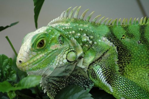 Fotografia de NNZ Photography - Galeria Fotografica: Freelance Portfolio - Foto: 