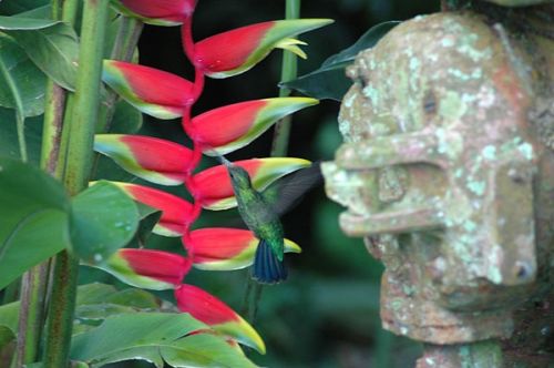 Fotografia de NNZ Photography - Galeria Fotografica: Freelance Portfolio - Foto: 