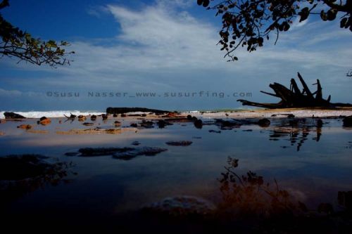 Fotografia de Nasser Photography - Galeria Fotografica: Variados  - Foto: 