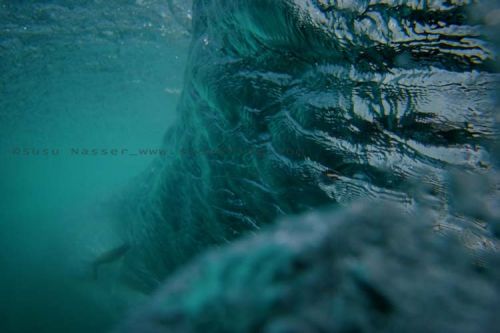 Fotografia de Nasser Photography - Galeria Fotografica: Variados  - Foto: 