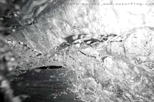 Fotografia de Nasser Photography - Galeria Fotografica: Variados  - Foto: 