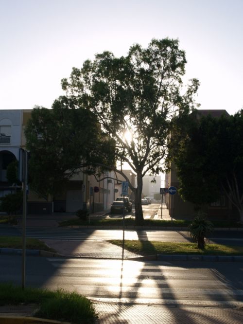 Fotografia de torresgranero - Galeria Fotografica: Paisaje - Foto: A Contraluz