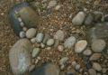Fotos de jose robles -  Foto: Guijarros - fila de piedras