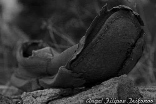 Fotografia de Angel - Galeria Fotografica: La Palma,Tenerife y Bulgaria - Foto: Zapi