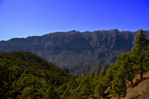 Fotografia de Angel - Galeria Fotografica: Bulgaria,La Palma - Foto: La Palma